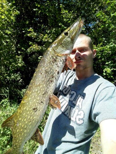 Northern Pike, 4.1 kg