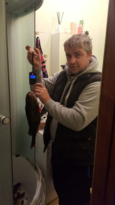Eurasian perch, 1.2 kg