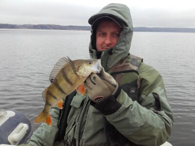 Eurasian perch, 0.4 kg