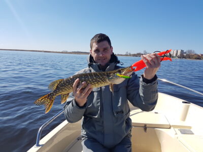 Northern Pike