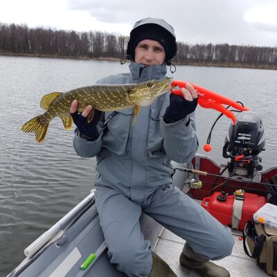 Northern Pike