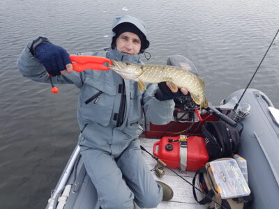 Northern Pike
