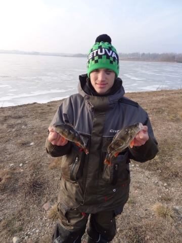 Eurasian perch ×2