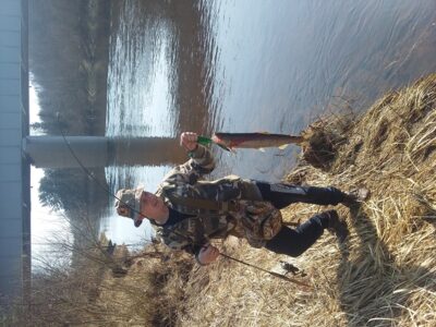 Brown Trout, 0.1 kg — Neris River