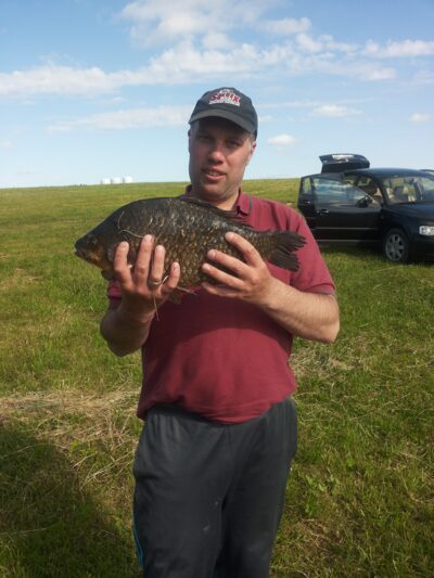 Prussian carp, 2.5 kg