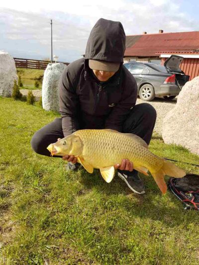 Carp, 5.0 kg