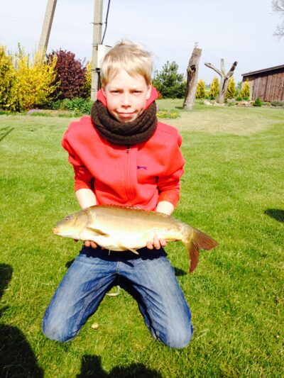 Mirror carp, 2.7 kg