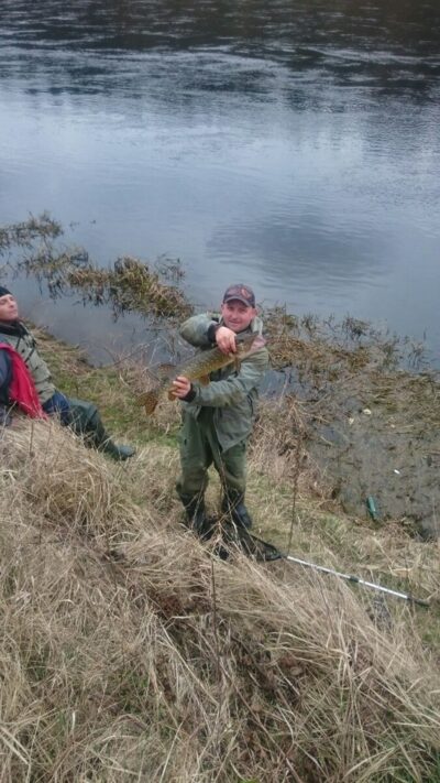Northern Pike