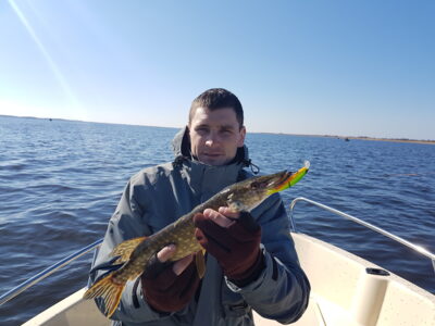 Northern Pike