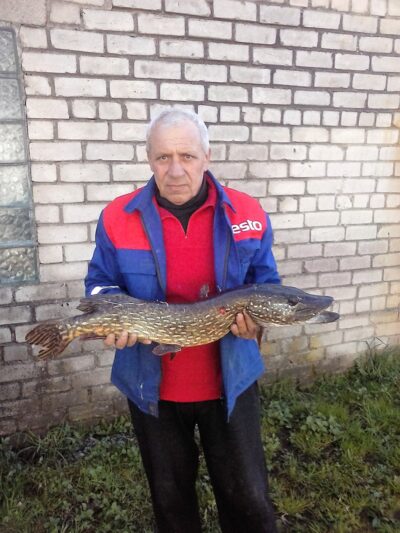 Northern Pike, 3.8 kg — Smalių