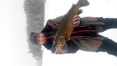 Brown Trout, 3.1 kg