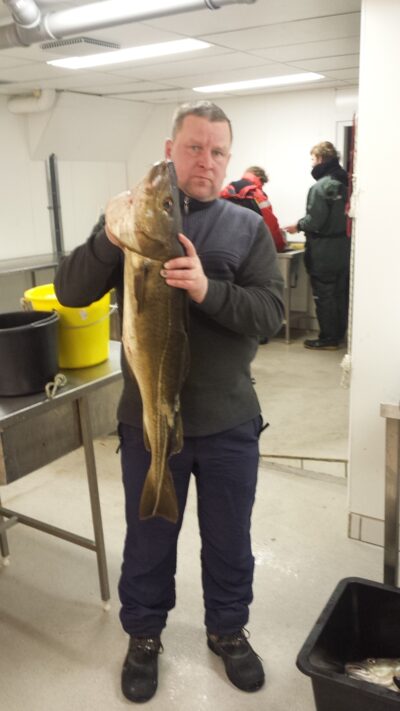 Atlantic cod, 9.0 kg