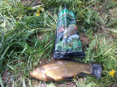 Tench, 1.0 kg — Kupiškio