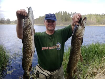 Northern Pike ×2