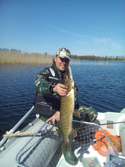 Northern Pike, 3.0 kg — Luodis