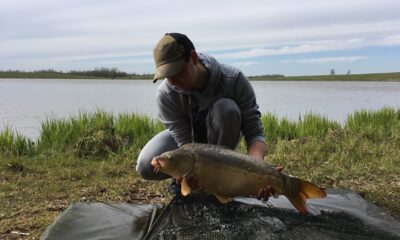 Carp, 1.0 kg — Tverų