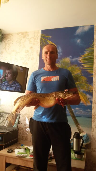 Northern Pike, 3.1 kg