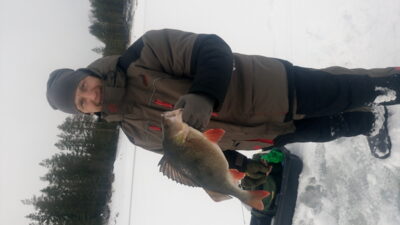 Eurasian perch, 1.8 kg