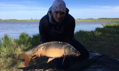 Carp, 1.0 kg — Tverų