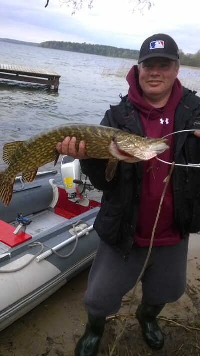 Northern Pike, 4.2 kg — Alaušas
