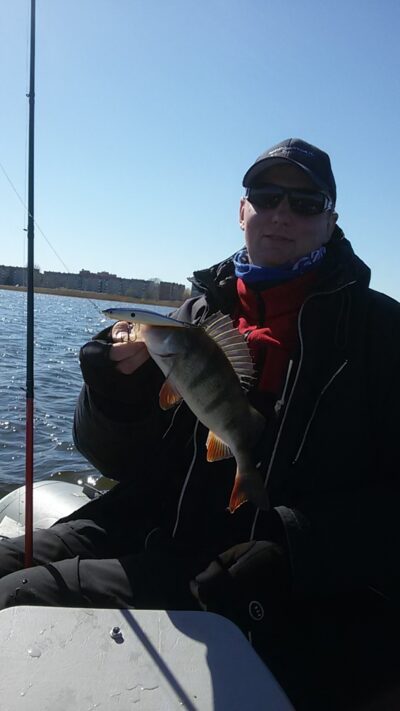 Eurasian perch, 0.4 kg