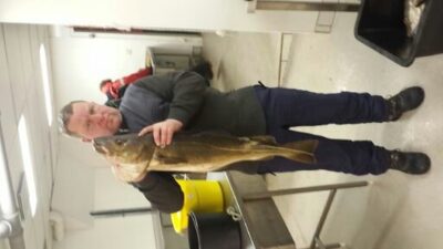 Atlantic cod