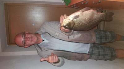Crucian carp, 2.0 kg