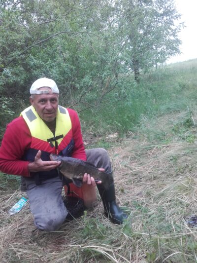 Tench, 1.4 kg