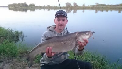 Asp, 4.0 kg — Neman River