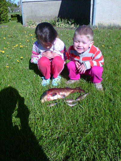 Carp, 2.1 kg — Dargaičių