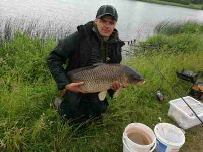 Carp, 12.0 kg