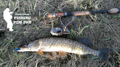 Northern Pike — Neman River