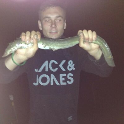 European eel — Karvys