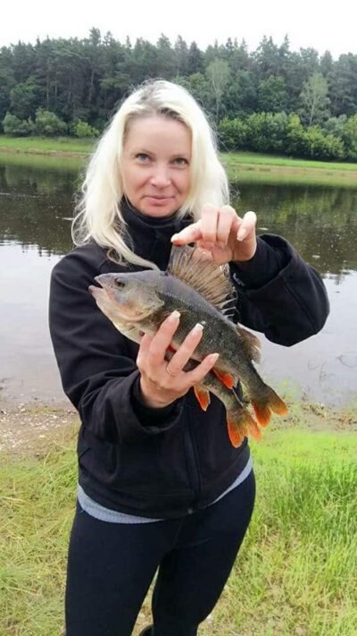 Eurasian perch ×5