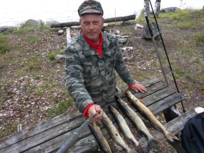 Northern Pike ×5 — Stor-Emsen