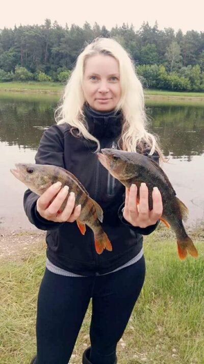 Eurasian perch ×5
