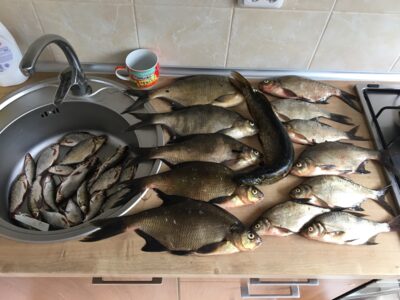 Carp bream, 0.1 kg