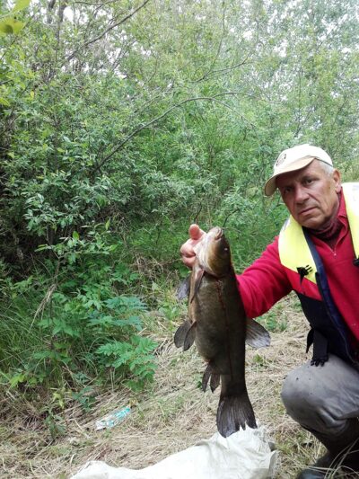 Tench, 2.8 kg