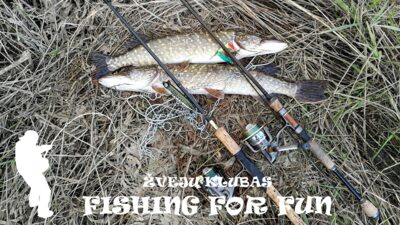 Northern Pike ×2 — Neman River