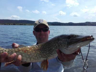 Northern Pike, 1.8 kg