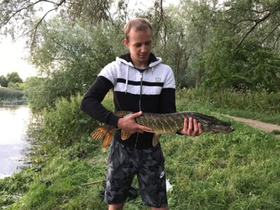 Northern Pike, 3.0 kg