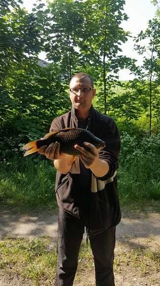 Crucian carp, 1.3 kg