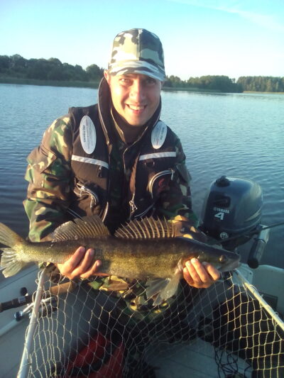 Pike perch, 2.3 kg