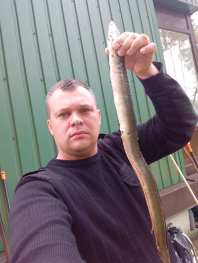 European eel — Asveja