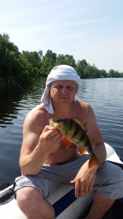 Eurasian perch, 0.4 kg — Labūnavos