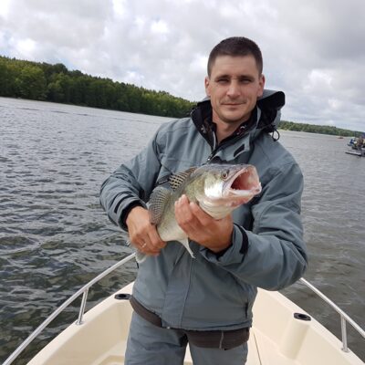 Pike perch, 2.0 kg