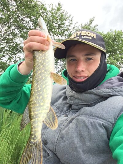 Northern Pike — Bubių