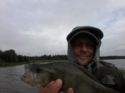 Eurasian perch, 0.6 kg