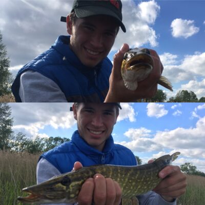 Northern Pike — Ginkūnų