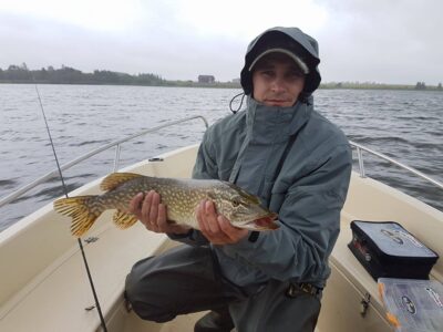 Northern Pike — Bubių